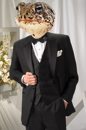 Toady%20-%20tux01.jpg