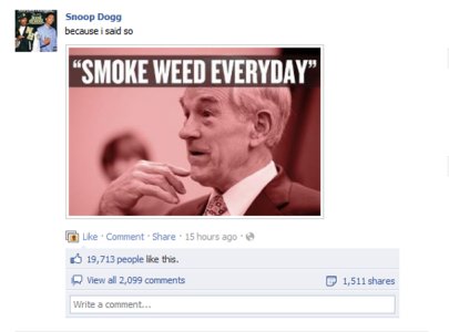 120130_snoop_ron_paul_screengrab_328.jpg