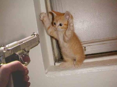 hold-up.jpg