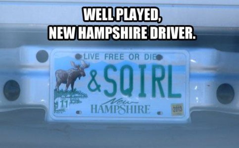 Moose and Squirrel.jpg