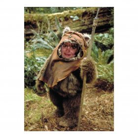Suz_EWok.jpg