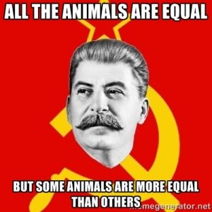 32354800.jpg