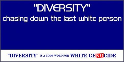 Diversity - Chasing Down-2.jpg