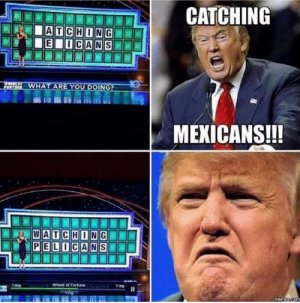25299270_1895328370797100_8493258956061953035_n.jpg