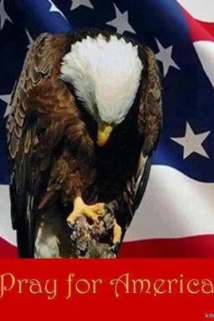 d0197e6043bc4fd19c39ca1ff53edf3c--american-pride-american-symbols.jpg