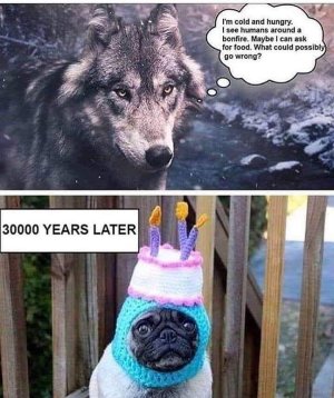 FB_IMG_1557628036874.jpg
