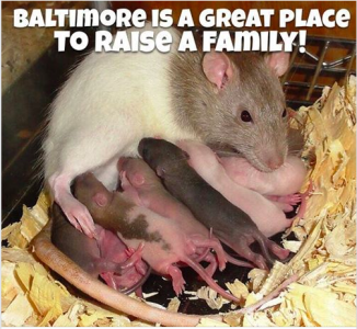 Screen Shot 2019-07-28 at 9.13.38 PM.png