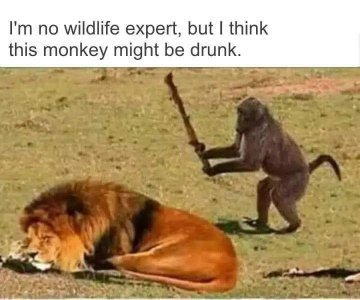 FB_IMG_1564414873623.jpg