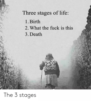 1613059647321.png