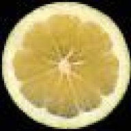 limequat
