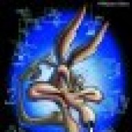 DGambler