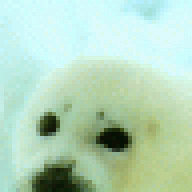 Fluiddude