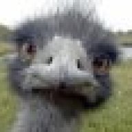 dawnbt