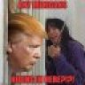 RFTBunny