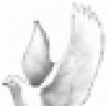 efiniti
