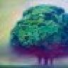 Dreamofunity