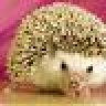 sylvania