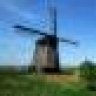 Dutch