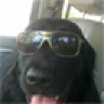 tucker