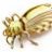 Mr. Goldbug