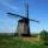 Dutch