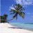ZanZibar