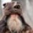 Beorn