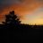 thecoloredsky