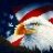 PatriotG