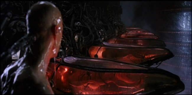 Free_yourself_from_the_Matrix!.jpg