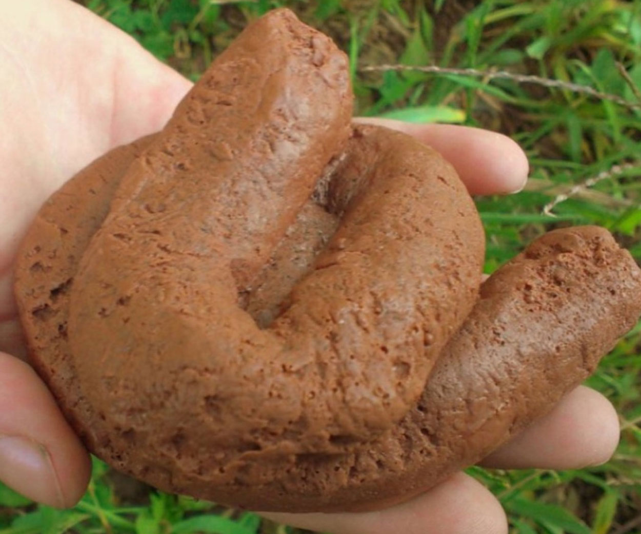 fake-dog-poop-soap.jpg