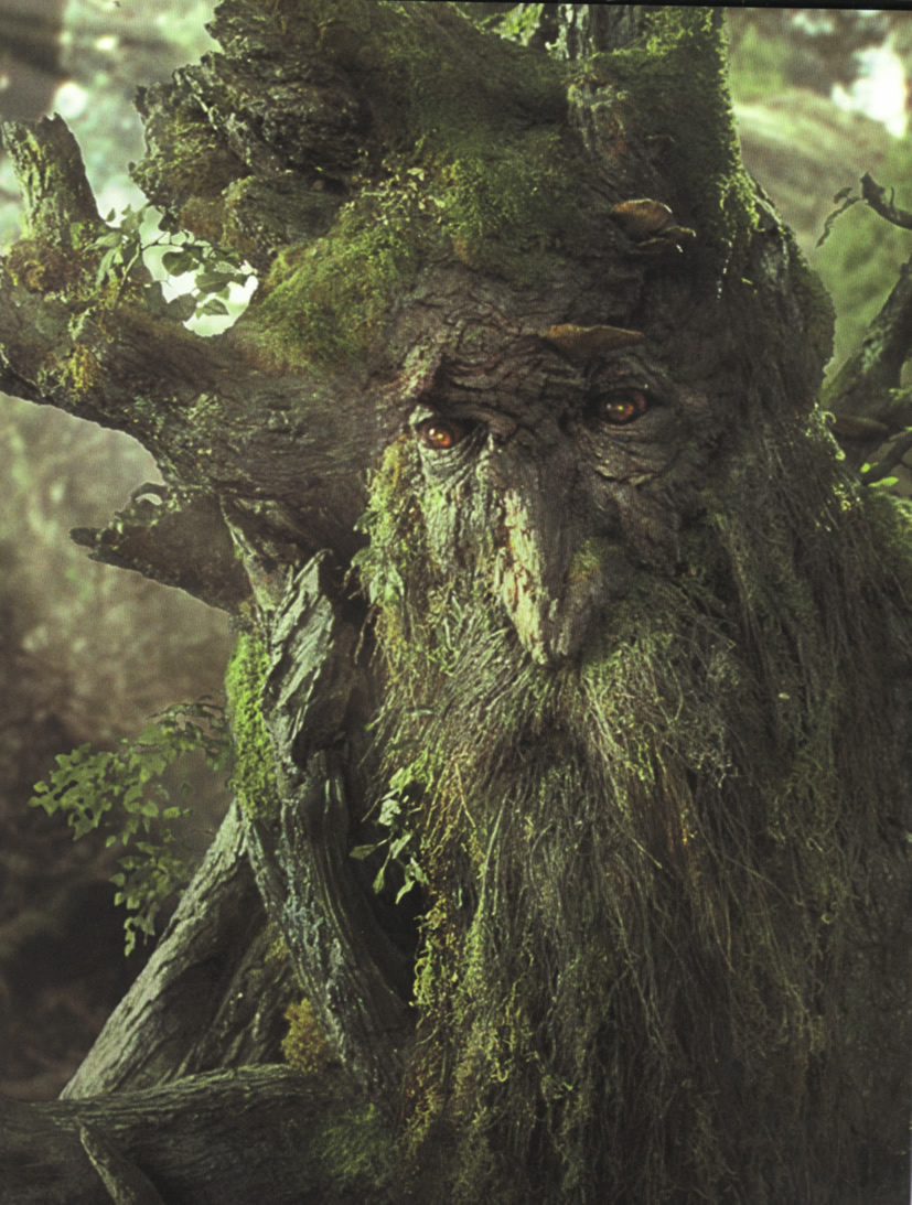 ent.jpg