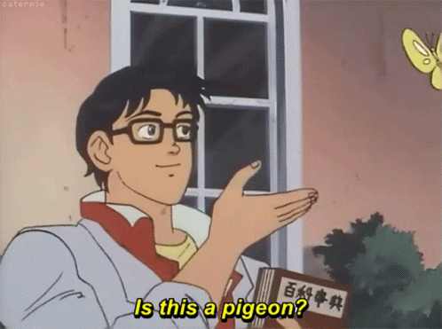 is-this-a-pigeon-butterfly.gif