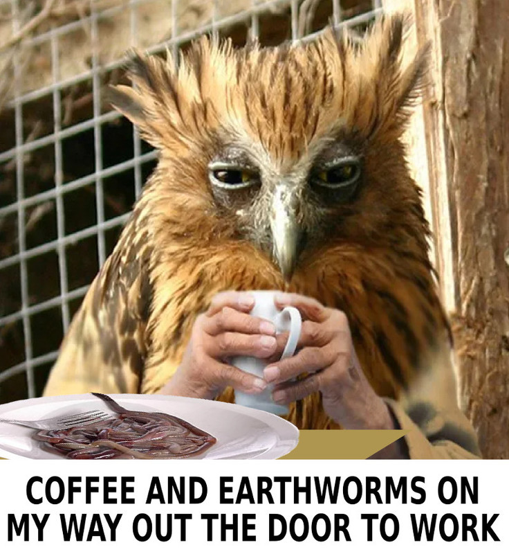 coffe-and-earthworms.jpg