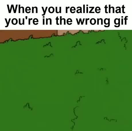 www.memedroid.com