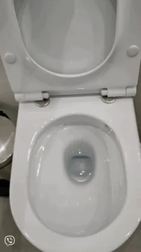 toilet-280-x-498-gif-dym0pt2wg4b6edns.webp