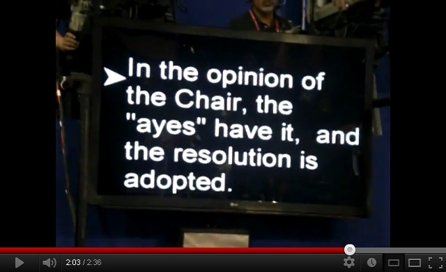 ayes-have-it.jpg