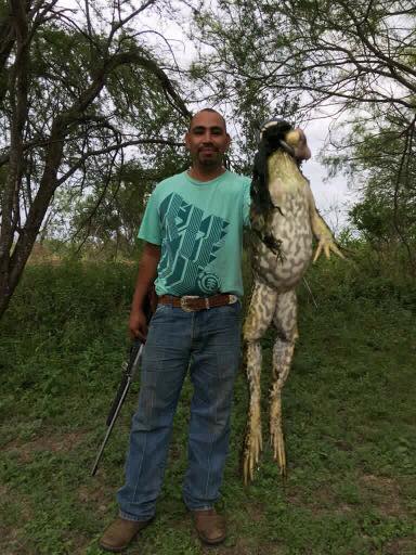 giant-bullfrog-texas-4.jpg