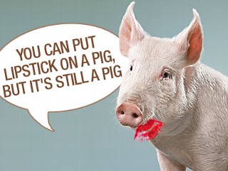 lipstick_pig_080910_mn1.jpg