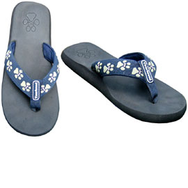 FLIPFLOPS.jpg