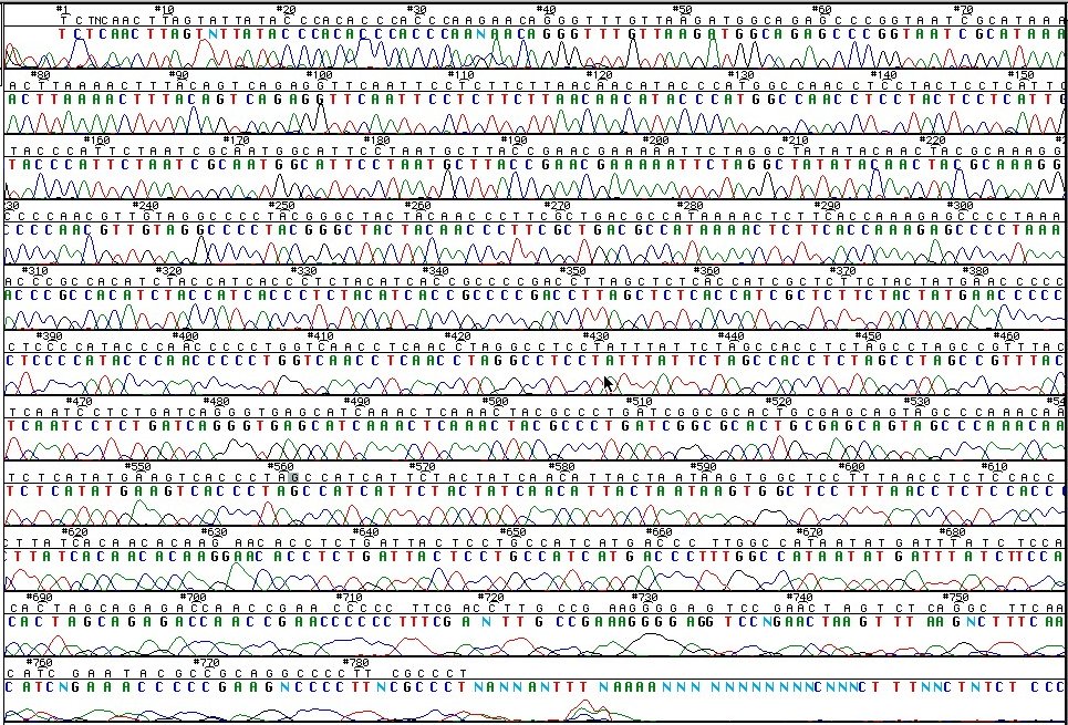 ABI377_chromatogram.jpg
