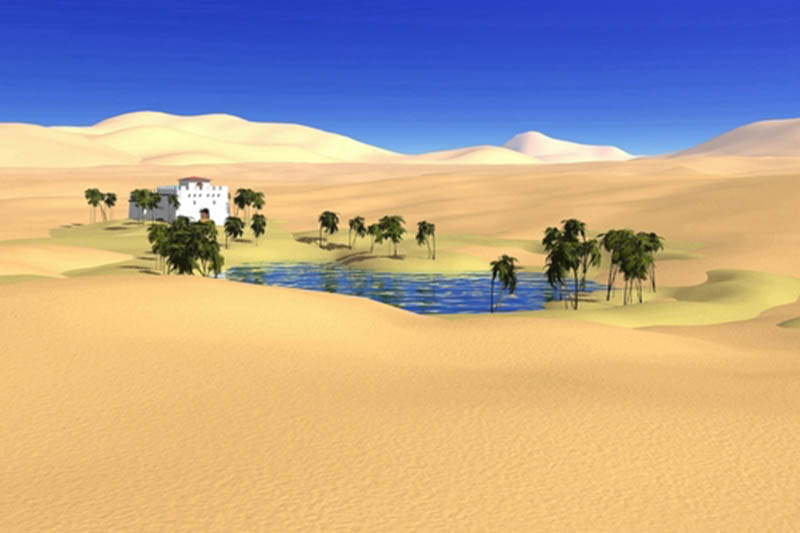 oasis2.jpg