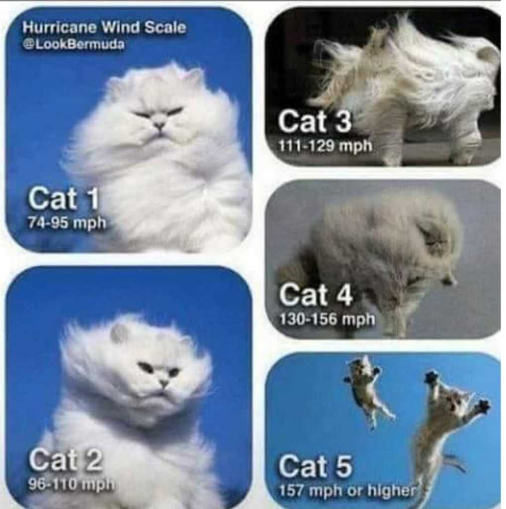 1018719360470949888