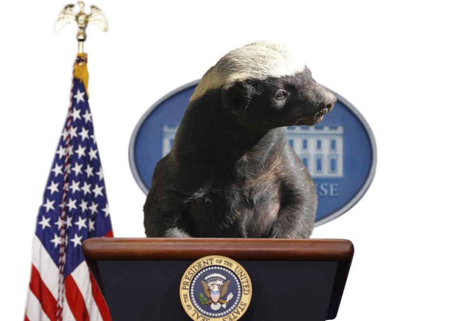 trump-honey-badger.jpg