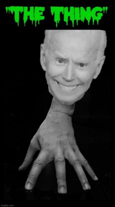 Biden-Thing-233x420.jpeg