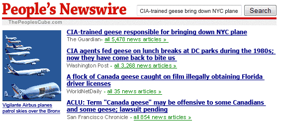 Geese_Plane_News_cropped.gif