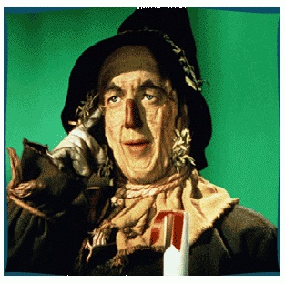 scarecrow.jpg