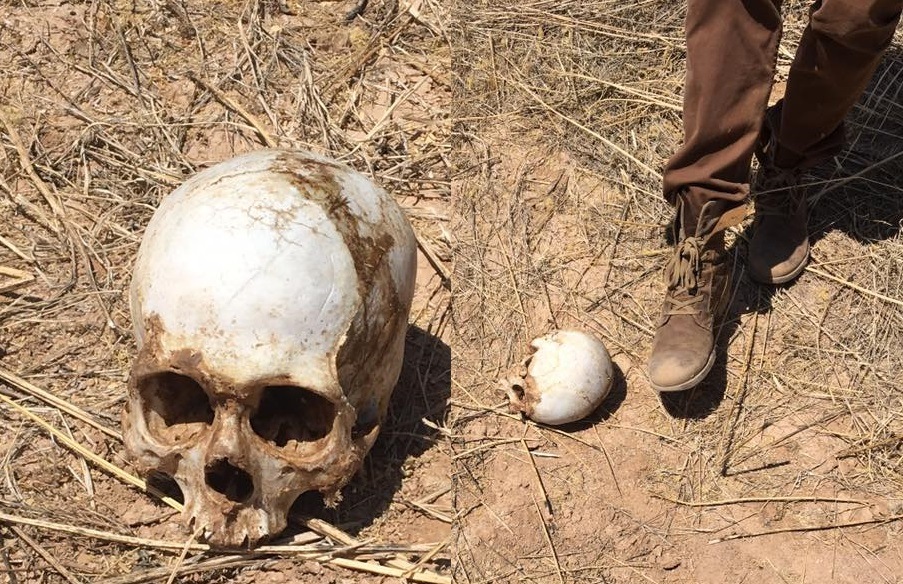Child-skull-Arizona-VOP.jpg