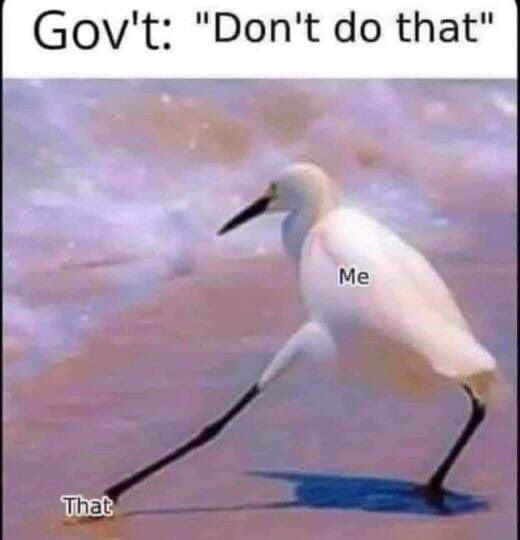YurX4Ag.jpg