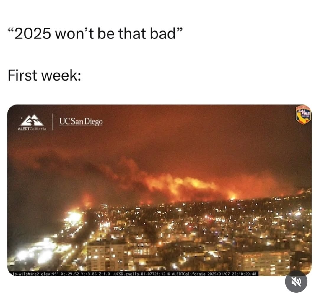 1737021606388.jpg